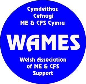 Welsh Association of ME & CFS Support logo