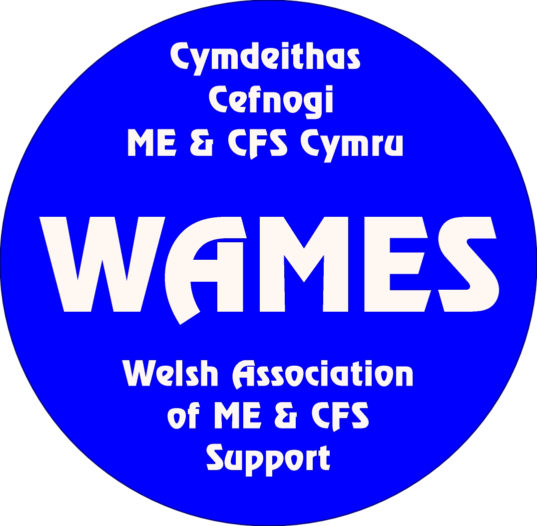 You are currently viewing WAMES – Welsh Association of ME & CFS Support